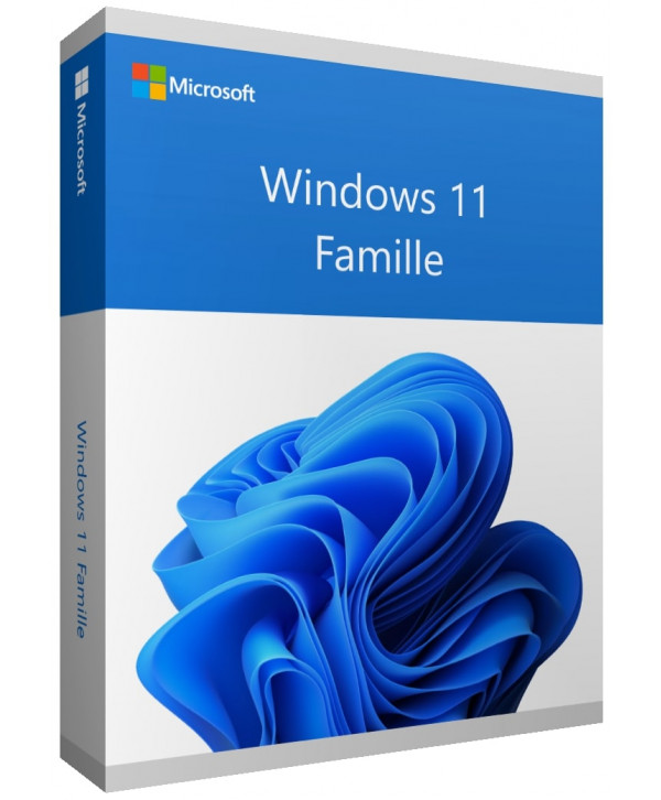 Windows 11